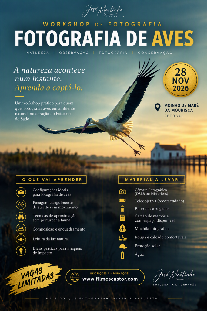 Aves